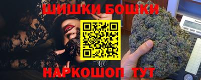 МДПВ Новозыбков