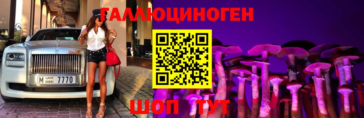 Тамбов  Галлюциногенные грибы мухоморы  где продают наркотики  Вход с VPN 